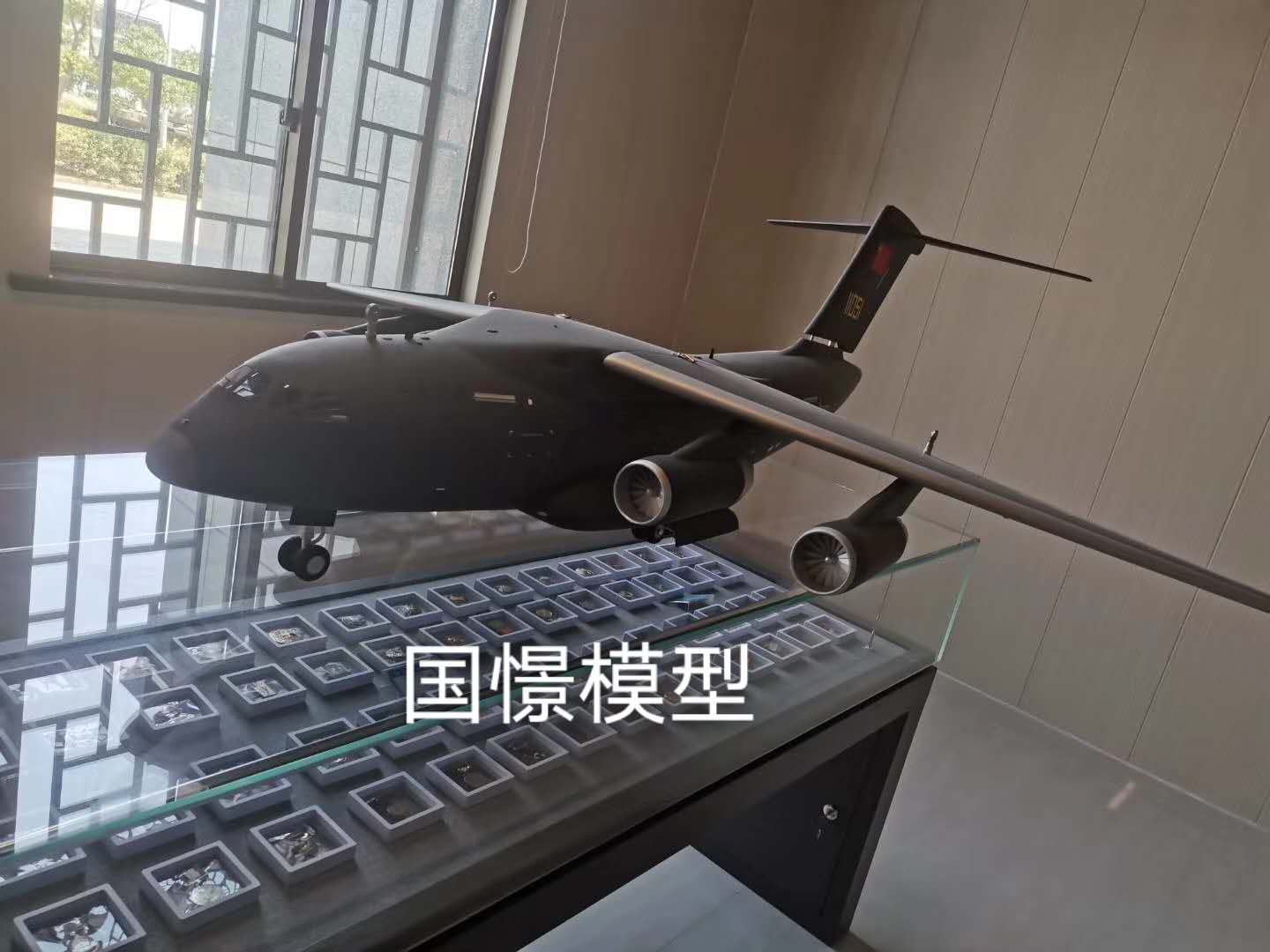定南县飞机模型